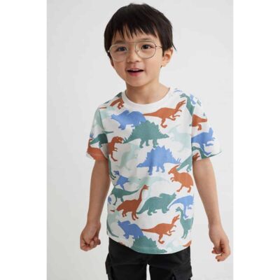 تیشرت بچه گانه پسرانه برند اچ اند ام مدل Printed T-shirt