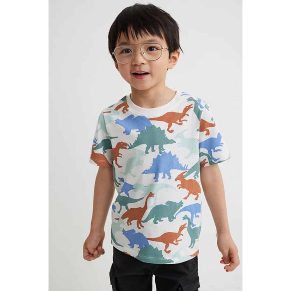 تیشرت بچه گانه پسرانه برند اچ اند ام مدل Printed T-shirt