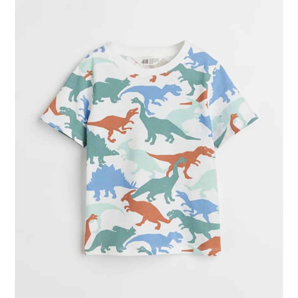 تیشرت بچه گانه پسرانه برند اچ اند ام مدل Printed T-shirt