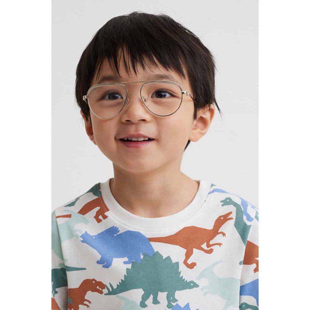 تیشرت بچه گانه پسرانه برند اچ اند ام مدل Printed T-shirt