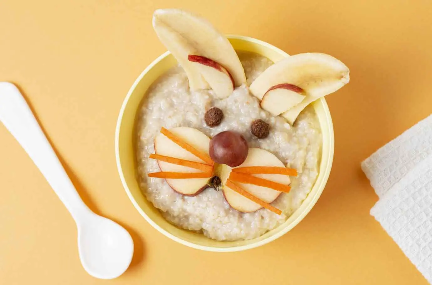 طرز تهیه غذای کمکی نوزاد