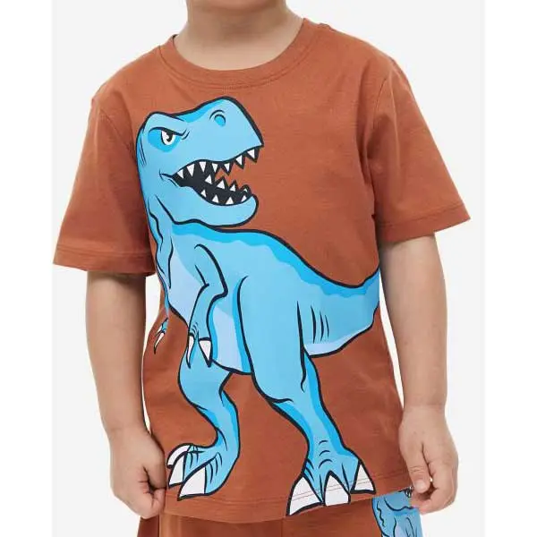تیشرت بچه گانه پسرانه اچ اند ام مدل Dinosaurs