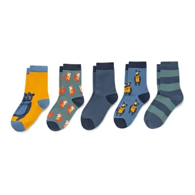 جوراب بچه گانه پسرانه برند چیبو مدل Graphic Socks