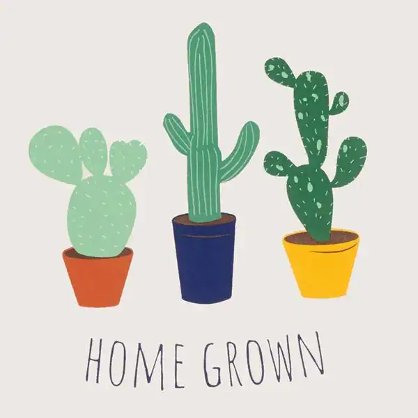 ست بلوز شلوار بچه گانه پسرانه برند مادرکر مدل Cactus